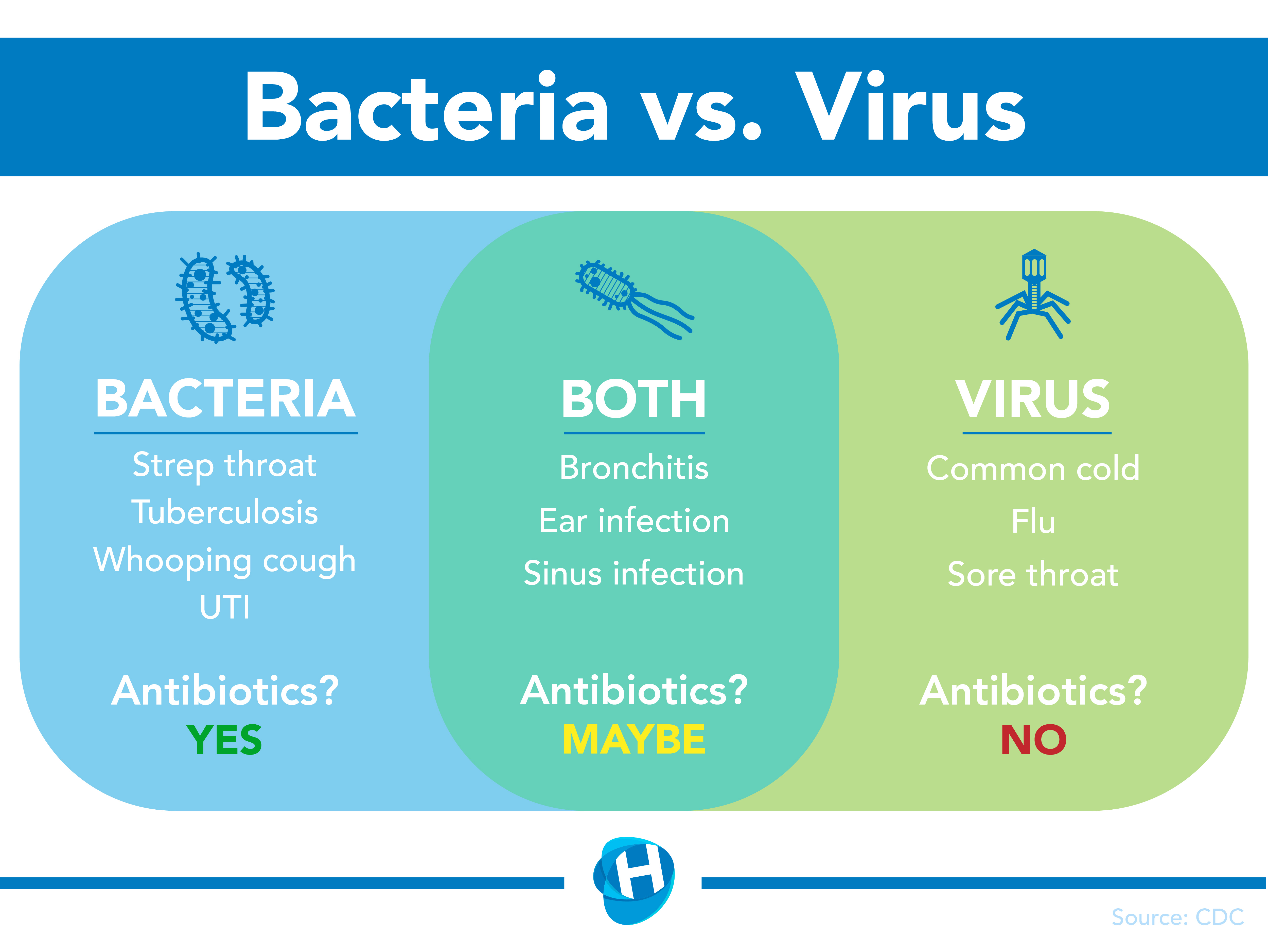 Viruses Vs Bacteria When Do We Use Antibiotics Your Health Hub 